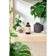 Butter Me Up Organics Natural Aged After Shave / Cologne Organic Bay Woodsy / Men’s Natural Organic After Shave Face