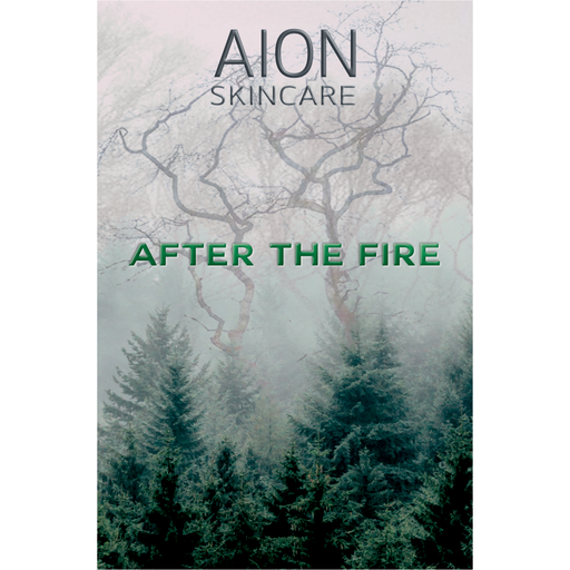 Aion Skincare After the Fire Aftershave 100 ml