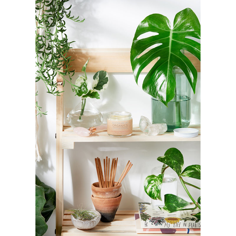 Butter Me Up Organics Anti Aging Night Cream Face Moisturizer Organic Green Tea Face