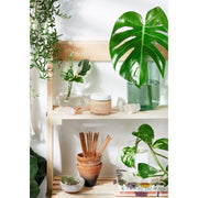 Butter Me Up Organics Anti Aging Night Cream Face Moisturizer Organic Green Tea Face