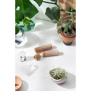 Butter Me Up Organics Organic Anti-Chap Lip Balm / Chapped Lips / Organic Lip Moisturizer / PAPERBOARD Tube Face