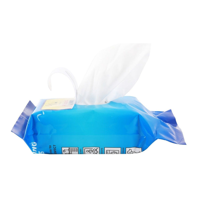 Prolux Cosmetics Antibacterial Hand Sanitizing Wipes | hand sanitizing wipes