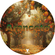 WhollyKaw Wholly Kaw Aranceto Shaving Collection Shaving Set