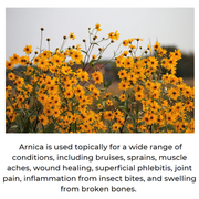 Mineranaturals Arnica Balm -  Muscle & Joint Relief