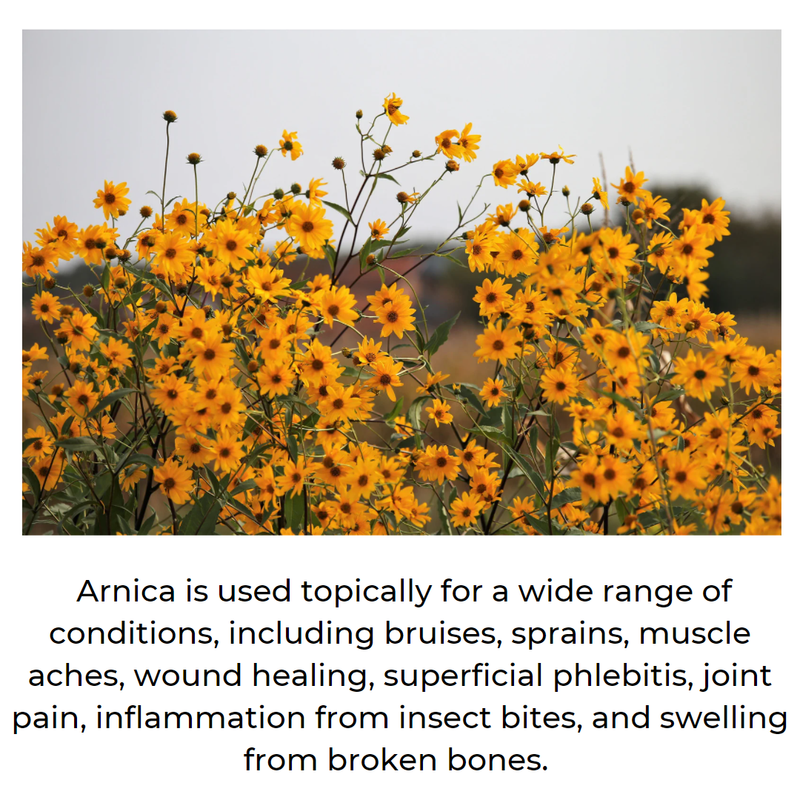 Mineranaturals Arnica Balm -  Muscle & Joint Relief