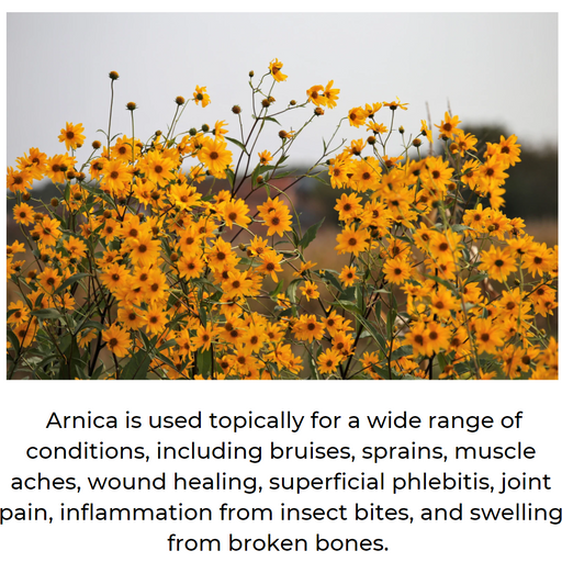 Arnica Balm - Muscle & Joint Relief