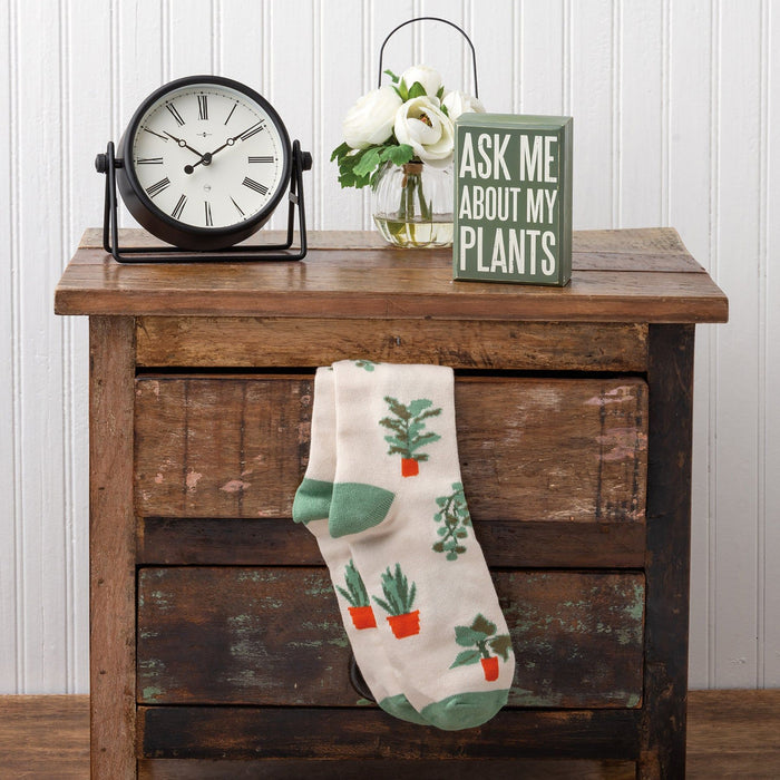 The Bullish Store - Ask Me About My Plants Box Sign And Sock Set | Plant Lovers Giftable Set