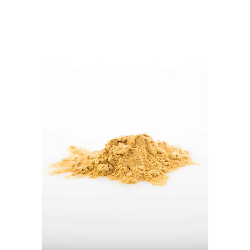 Sun Potion Astragalus (Wildcrafted) Adaptogen