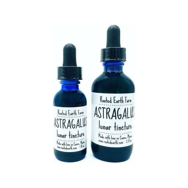 Rooted Earth Farm + Apothecary Astragalus Root Tincture Tinctures + Capsules