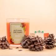 Fragrant Jewels Autumn Orchard - Candle and Bath Bomb Set Bundle (Candle & Bath Bomb)