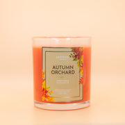 Fragrant Jewels Autumn Orchard - Candle and Bath Bomb Set Bundle (Candle & Bath Bomb)