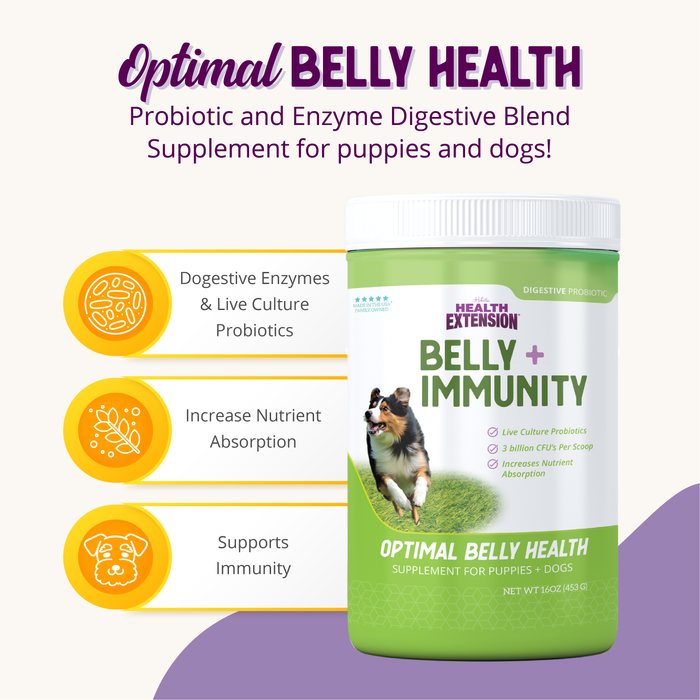 BELLY + IMMUNITY Digestive Probiotic Supplement