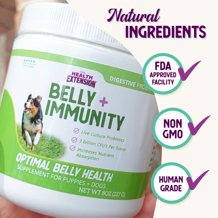 BELLY + IMMUNITY Digestive Probiotic Supplement