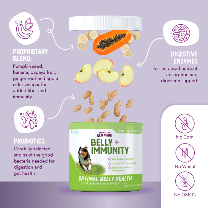 BELLY + IMMUNITY Digestive Probiotic Supplement