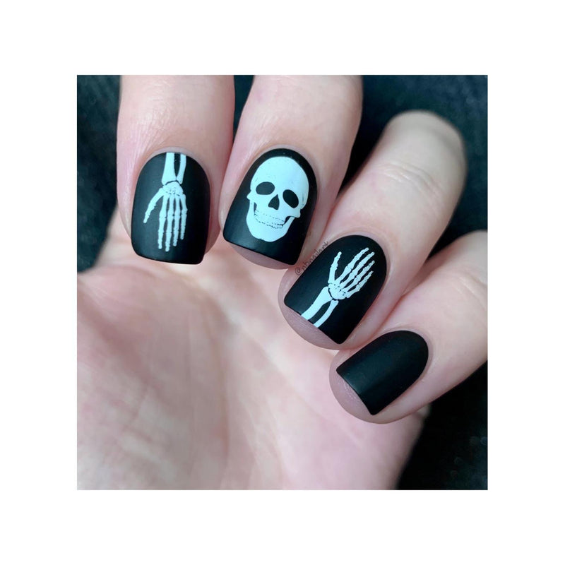 UberChic Beauty Medical Science Stamping Plate