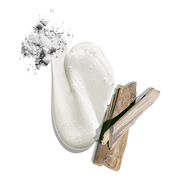 Jack Black Jack Black Big Sir Body & Hair Cleanser 3 oz Body & Hair Cleanser