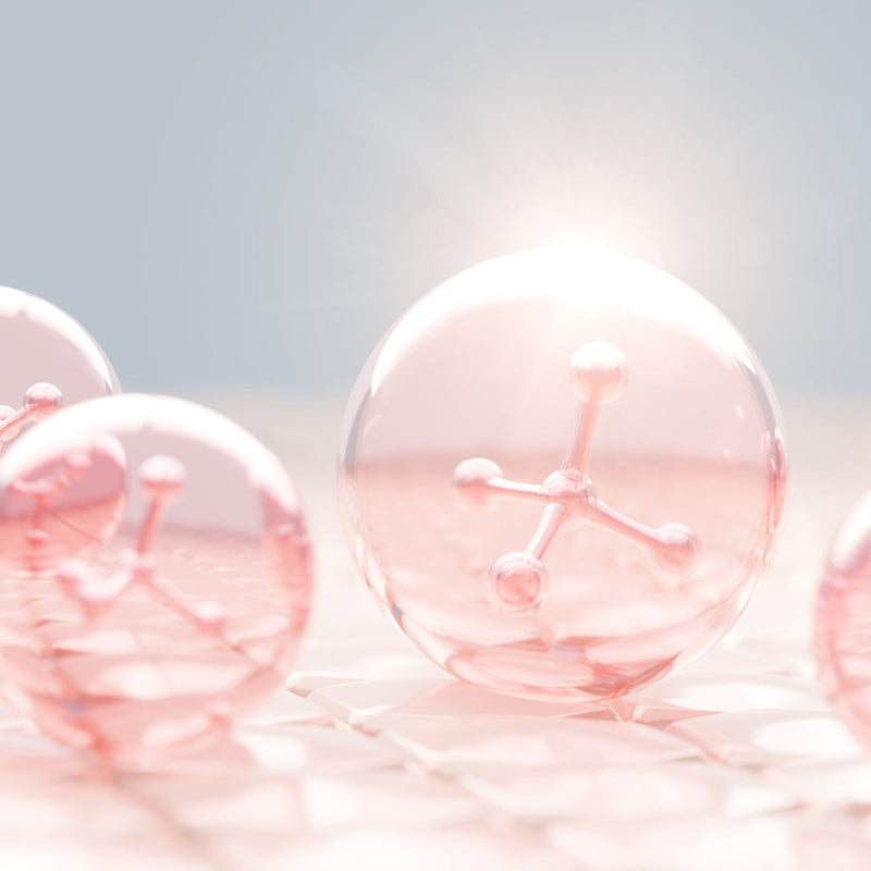 Bio Jouvance Paris Consumer Euro Gel Wholesale