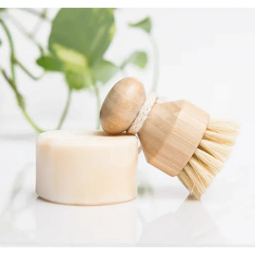 Refill Goodness Solid dish soap