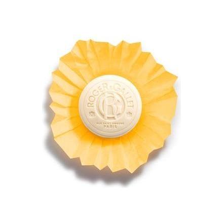 Roger & Gallet Roger & Gallet Bois D' Orange Wellbeing Soap 3.5 oz Wellbeing Soap