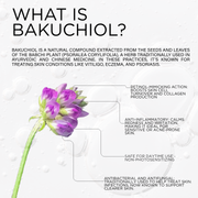 DCL Skincare Bakuchiol Night Cream