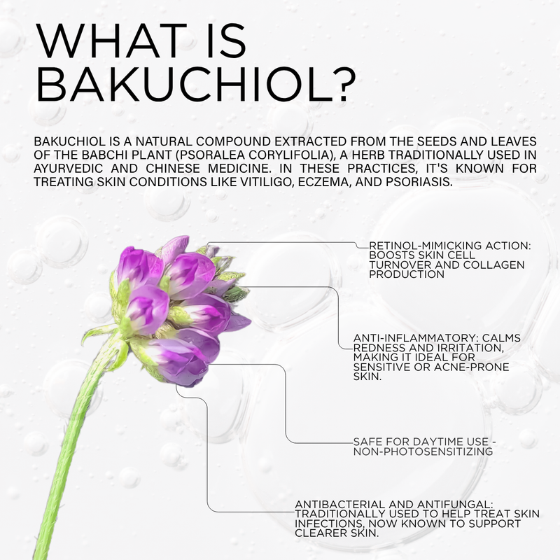 DCL Skincare Bakuchiol Night Cream