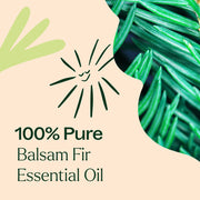 Plant Therapy Balsam Fir Essential Oil Essential Oil