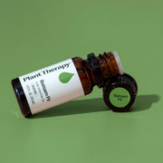 Plant Therapy Balsam Fir Essential Oil Essential Oil