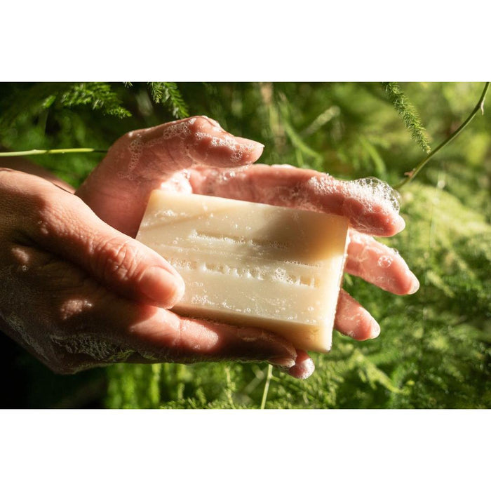 Redwood Mist Bar Soap