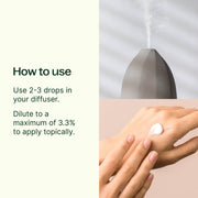 Plant Therapy Basil Linalool Essential Oil Essential Oil