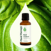 Plant Therapy Basil Linalool Essential Oil Essential Oil