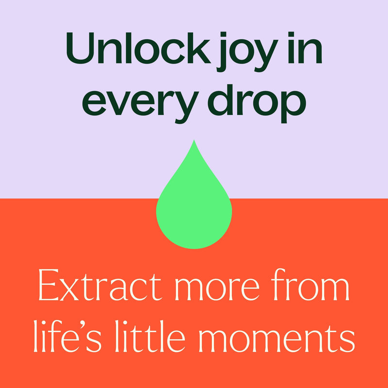 Plant Therapy Be Confident Essential Oil Blend Essential Oil