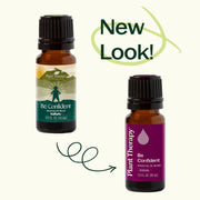 Plant Therapy Be Confident Essential Oil Blend Essential Oil