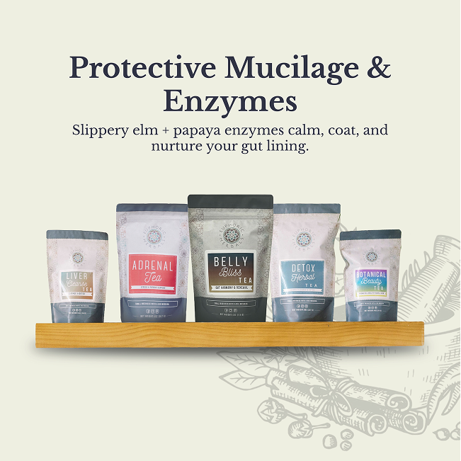 Euphoric Herbals Belly Bliss Gut Renewal Tea Herbal Tea