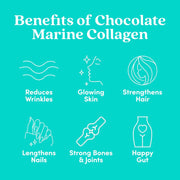 Further Food Chocolate Marine Collagen Powder Collagen