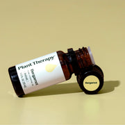 Plant Therapy Bergamot Essential Oil Essential Oil