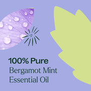 Plant Therapy Bergamot Mint Essential Oil Essential Oil Light Steel Blue 10 mL