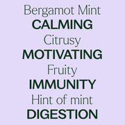 Plant Therapy Bergamot Mint Essential Oil Essential Oil Lavender 10 mL