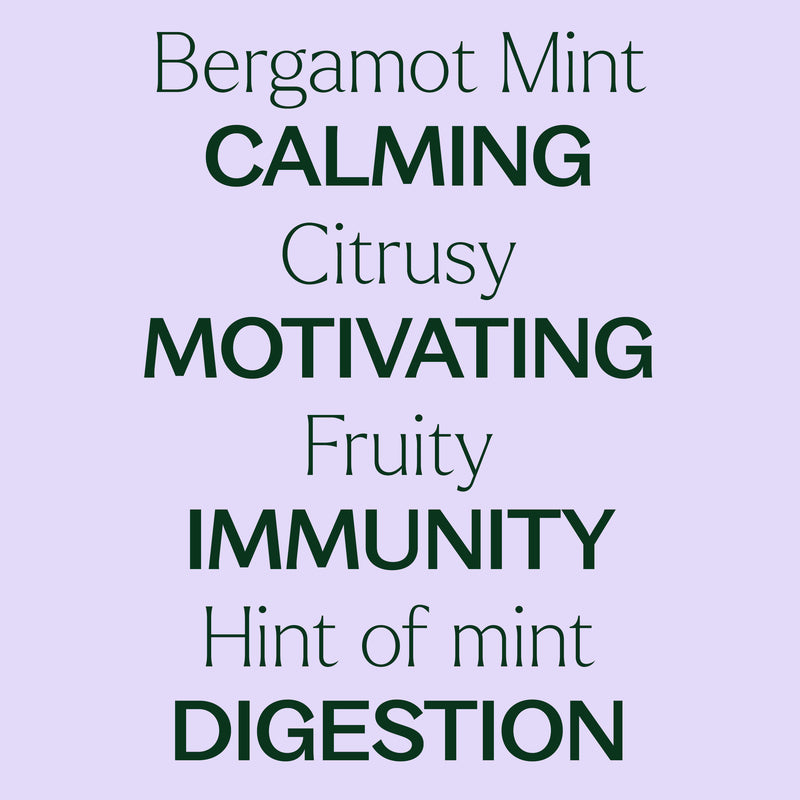 Plant Therapy Bergamot Mint Essential Oil Essential Oil Lavender 10 mL