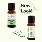 Plant Therapy Bergamot Mint Essential Oil Essential Oil Seashell 10 mL