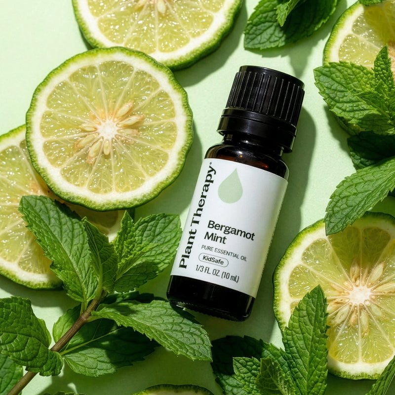 Plant Therapy Bergamot Mint Essential Oil Essential Oil Black 10 mL