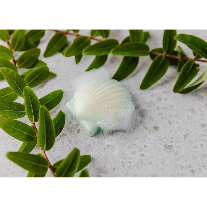 Frosted Sea Glass Goat Milk Seashell Soap 3.4oz