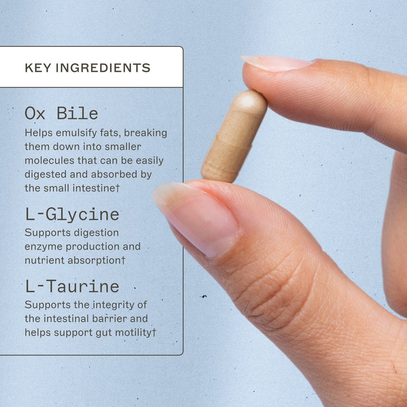 Bile Builder Complete