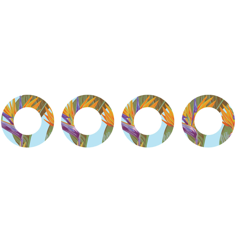 Peelz Birds of Paradise Patch  Tape Designed for the FreeStyle Libre 2 Patch Medical Tape