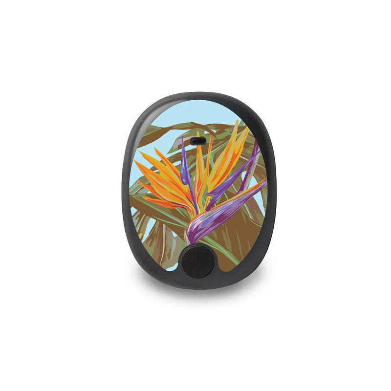 Peelz Birds of Paradise for the Eversense Smart Transmitter Peelz/Stickers