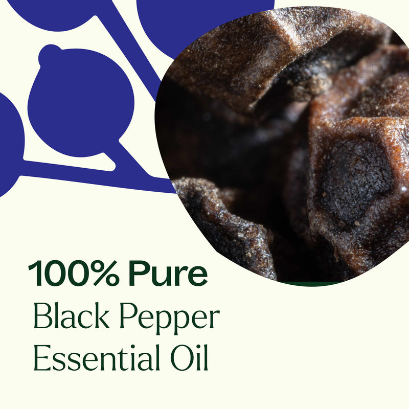 Plant Therapy Black Pepper Essential Oil Essential Oil