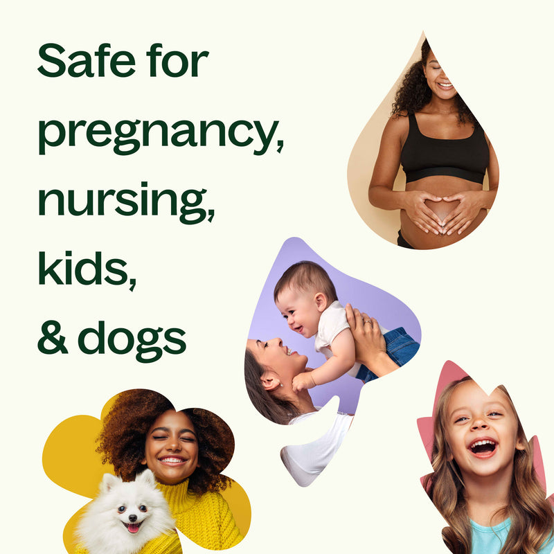 Plant Therapy Black Pepper Essential Oil Essential Oil