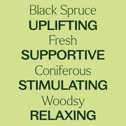 Plant Therapy Black Spruce Essential Oil Essential Oil