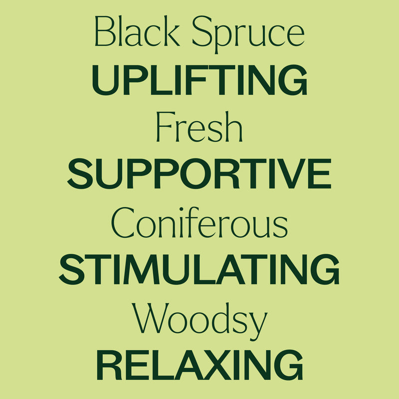 Plant Therapy Black Spruce Essential Oil Essential Oil