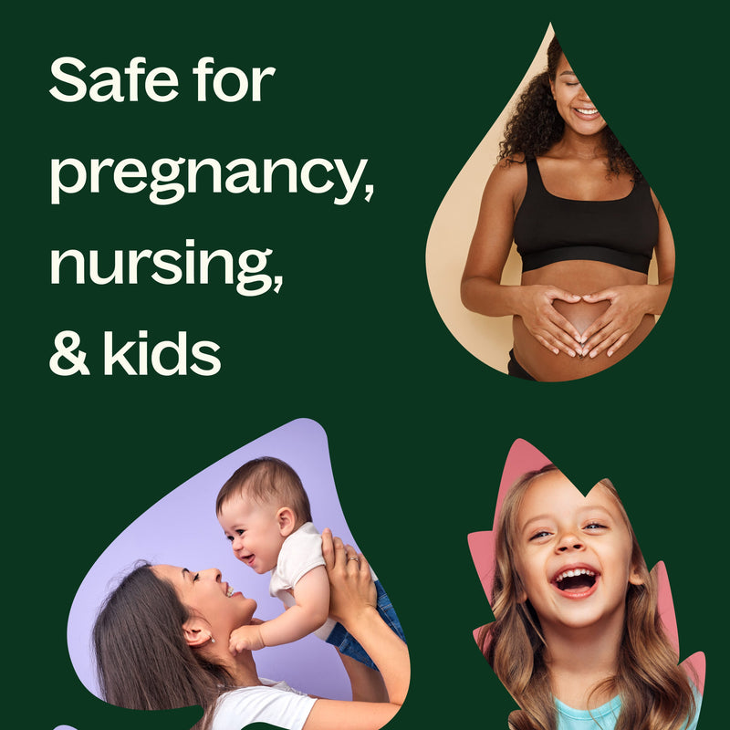 Plant Therapy Black Spruce Essential Oil Essential Oil