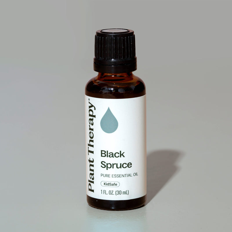 Plant Therapy Black Spruce Essential Oil Essential Oil